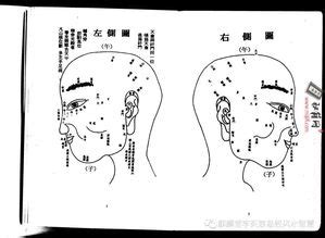 虎耳面相|虎耳面相算命